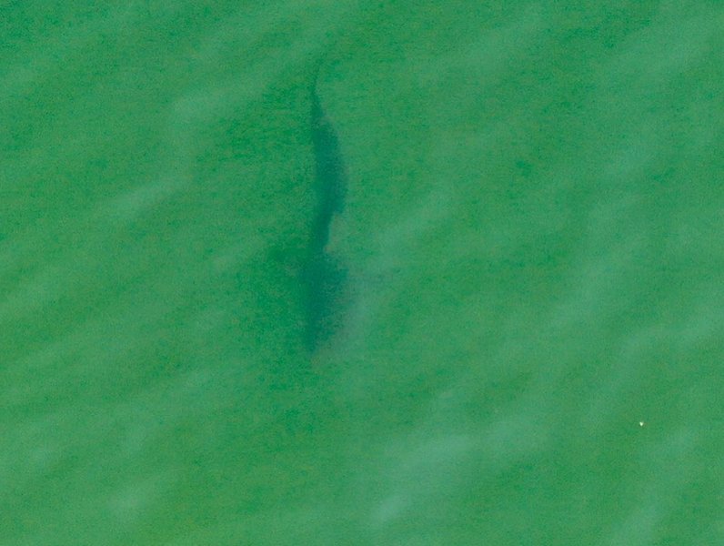 Thumbnail of p-b0cq967arvd-cf210ea60a974702 6