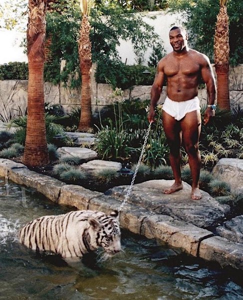 Thumbnail of p-cj1pnc0heh8-cf5550e751f14d5b 0