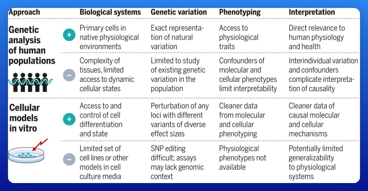 Thumbnail of www-x-com-elliothershberg-status-1961504144868753672-cf8537fcf5464f34