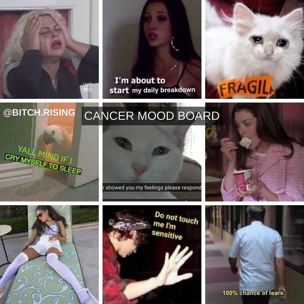 Thumbnail of p-cm0egqnhxhw-cfa8b729906442e0 3