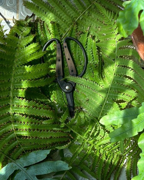 Thumbnail of p-cvjnbpwubxm-cfcaf750a04442ce 2