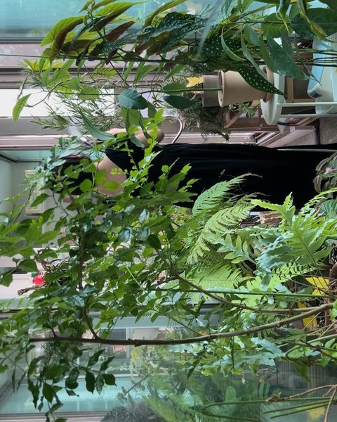 Thumbnail of p-cvjnbpwubxm-cfcaf750a04442ce 3