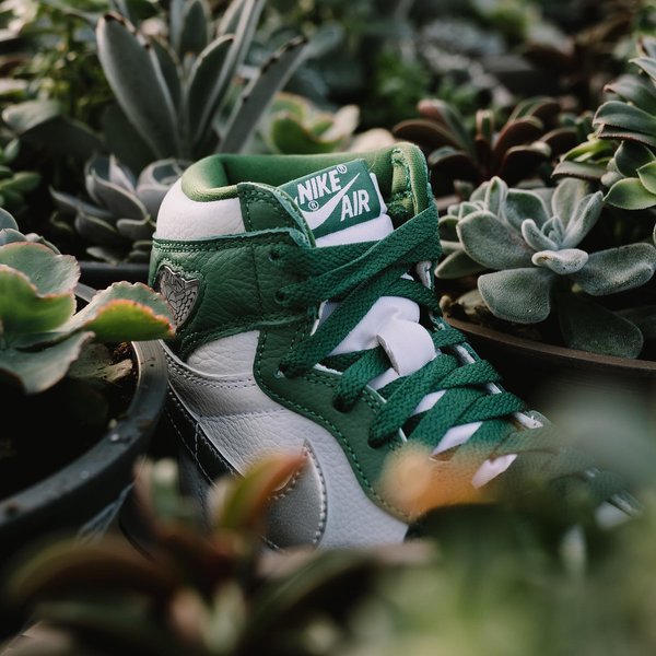 Thumbnail of p-cmxdx42vxsv-d00859b8785c4327 2