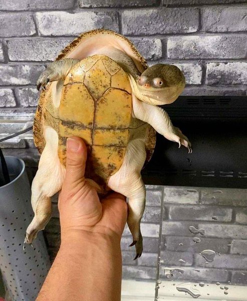 Thumbnail of p-cmszhwehxuf-d0087641d32b4330 0