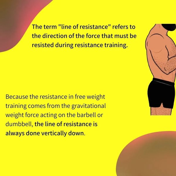 Thumbnail of p-cmjst6am3ju-d00b38cefe324fe1 1