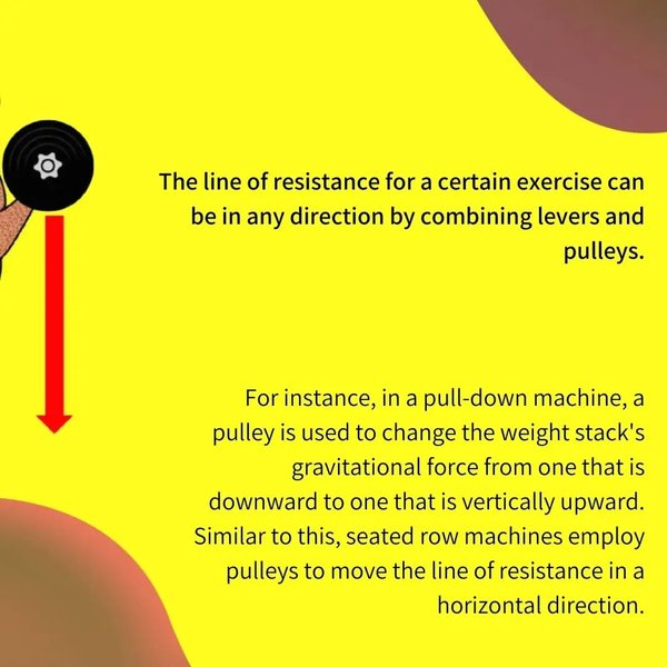 Thumbnail of p-cmjst6am3ju-d00b38cefe324fe1 2