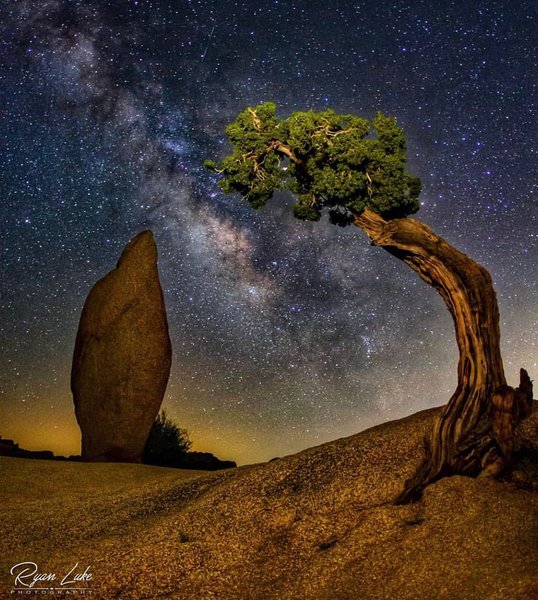 Thumbnail of p-bxslwehnaex-d011072ef1484e76 0