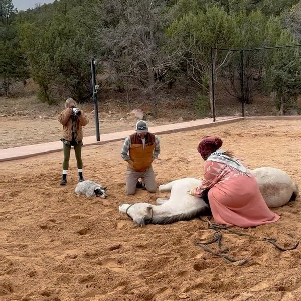 Thumbnail of p-c0ihurpod4e-d06e28732d0c4f18 4