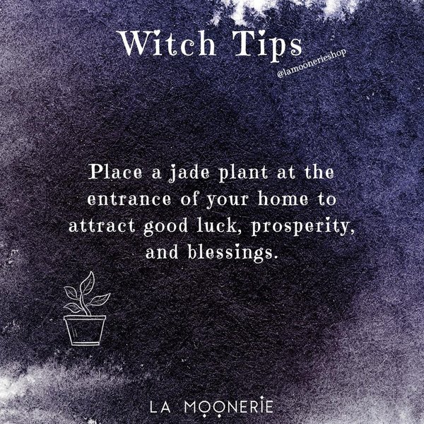 Thumbnail of p-cdcs0fzfgki-d083e3165da94de1 0