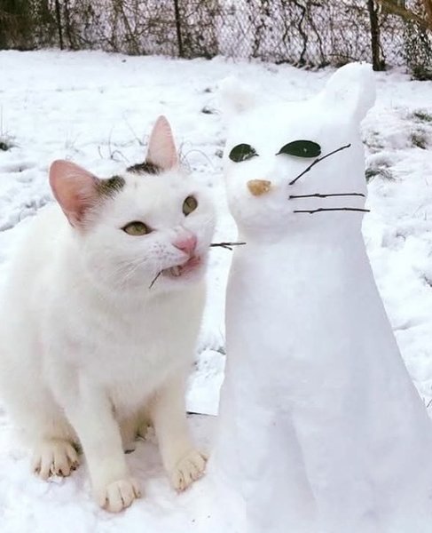 Thumbnail of p-deooflapz1f-d087bdc83a404970 13