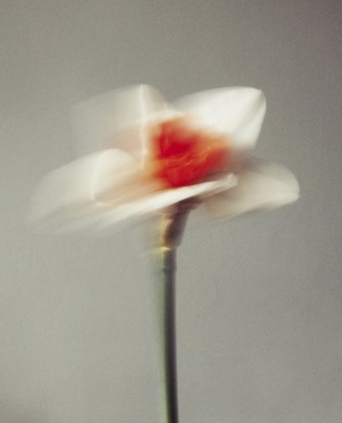 Thumbnail of p-deooflapz1f-d087bdc83a404970 8