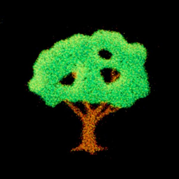 Thumbnail of p-dcj5f6ui4xu-d0c27f9fe1114b78 1