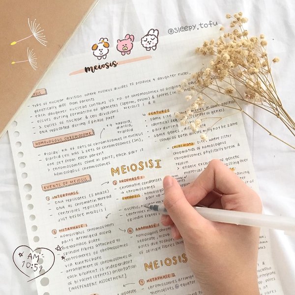 Thumbnail of p-bzkvfn3bdaz-d0cb6b30b4274412 0