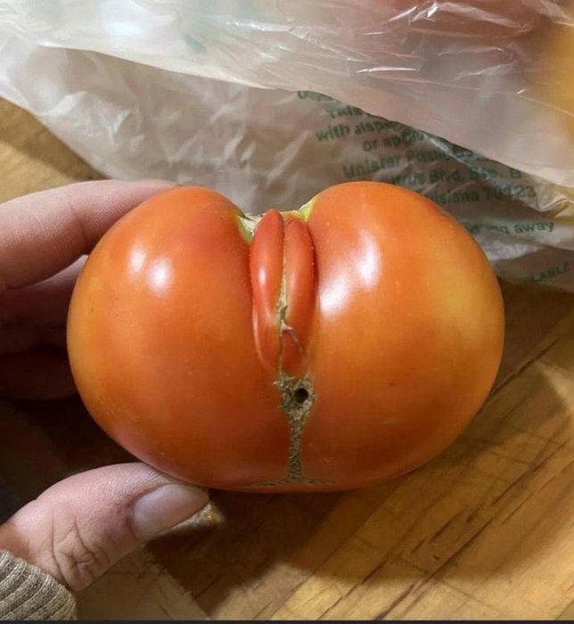 Thumbnail of www-x-com-kaogo55-status-1993571148131668366-d0d49c216a1d44f4