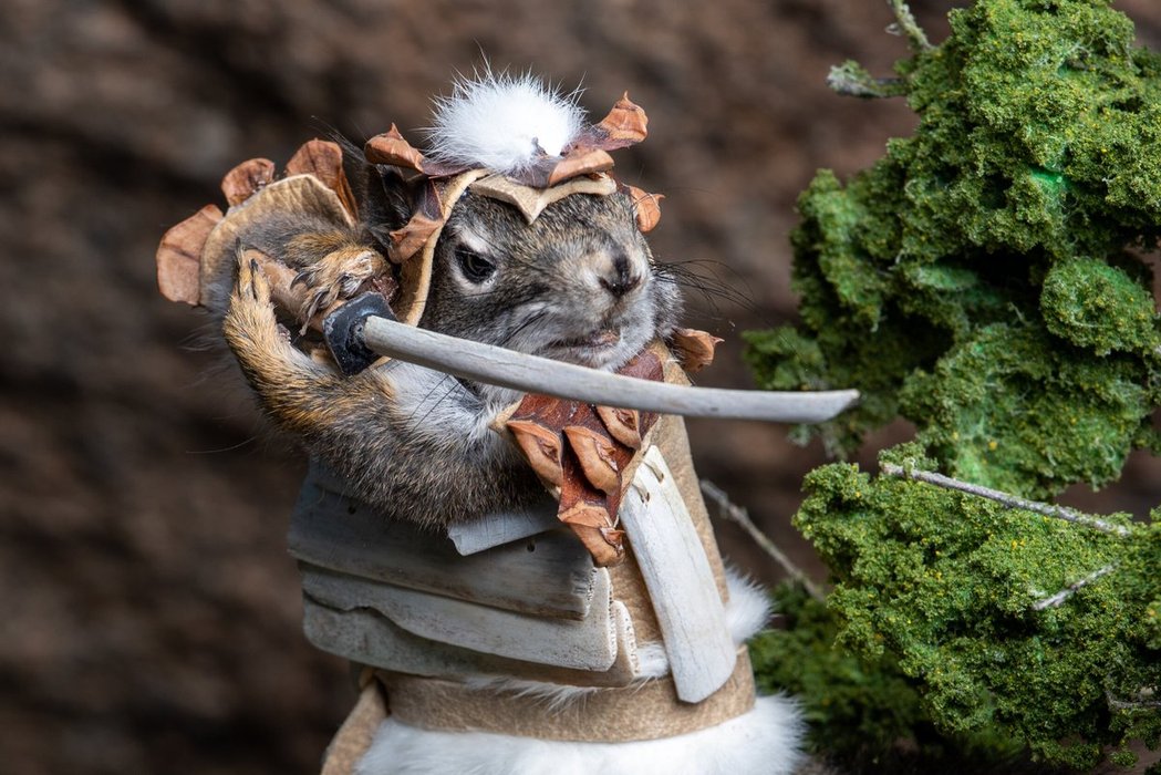 Thumbnail of www-x-com-babygravy9-status-1853072114498093094-d0fc7cc1370e430d