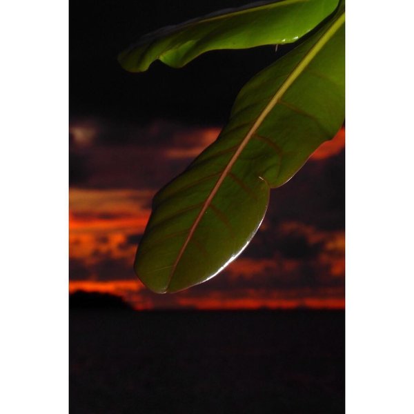 Thumbnail of p-boelpbhl0l-d1038a95b6904b7c 0