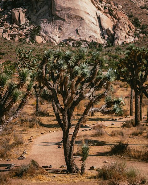 Thumbnail of ctr-5wylgeg-d1183238de8a4eed 0