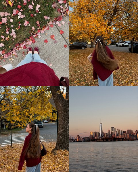 Thumbnail of p-dp1gbxsjo3r-d11c3f673ba14c6b 2