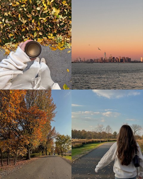 Thumbnail of p-dp1gbxsjo3r-d11c3f673ba14c6b 3