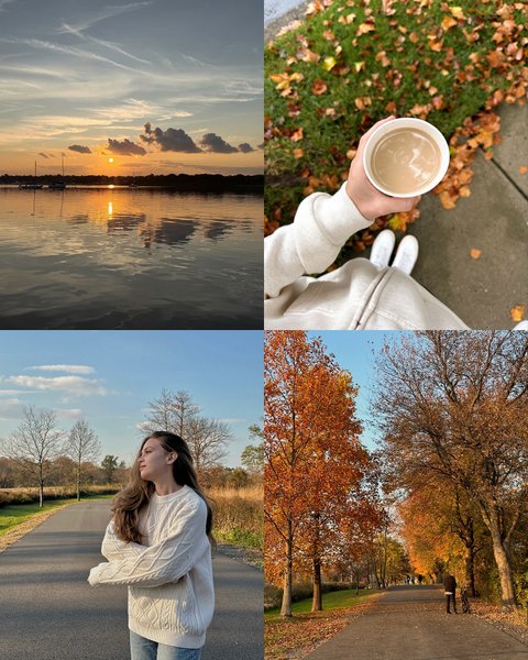 Thumbnail of p-dp1gbxsjo3r-d11c3f673ba14c6b 7