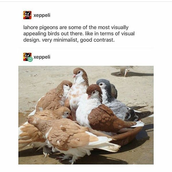 Thumbnail of bm3w8n1n-1-d11e202377ea456d 0