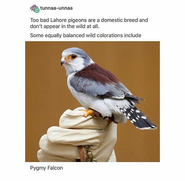 Thumbnail of bm3w8n1n-1-d11e202377ea456d 1