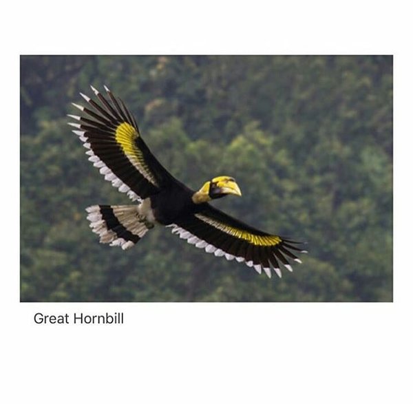 Thumbnail of bm3w8n1n-1-d11e202377ea456d 2