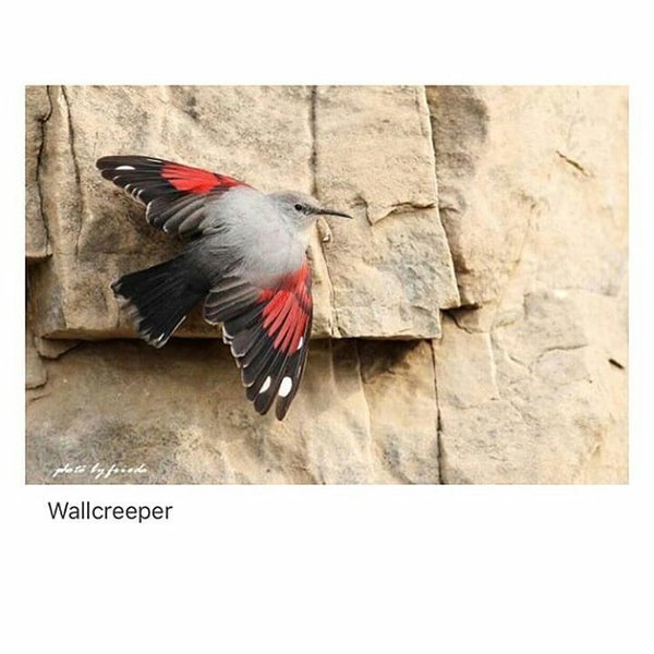 Thumbnail of bm3w8n1n-1-d11e202377ea456d 3