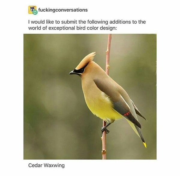 Thumbnail of bm3w8n1n-1-d11e202377ea456d 5