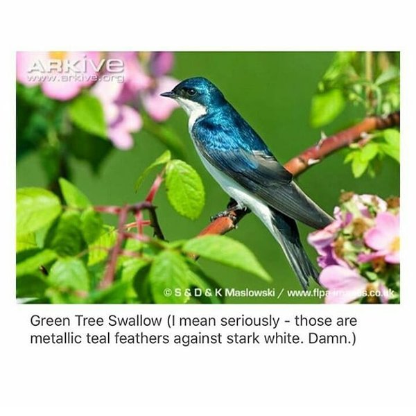 Thumbnail of bm3w8n1n-1-d11e202377ea456d 6