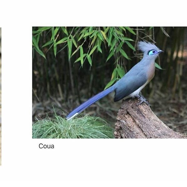 Thumbnail of bm3w8n1n-1-d11e202377ea456d 7