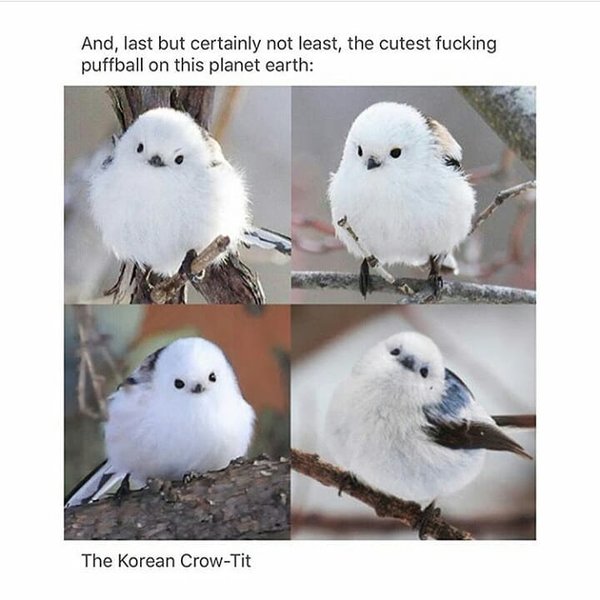 Thumbnail of bm3w8n1n-1-d11e202377ea456d 8