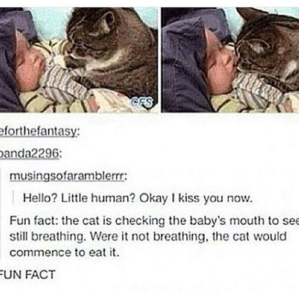 Thumbnail of p-bviyvq9nudj-d1204d69c1884d11 1