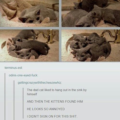 Thumbnail of p-bviyvq9nudj-d1204d69c1884d11 3