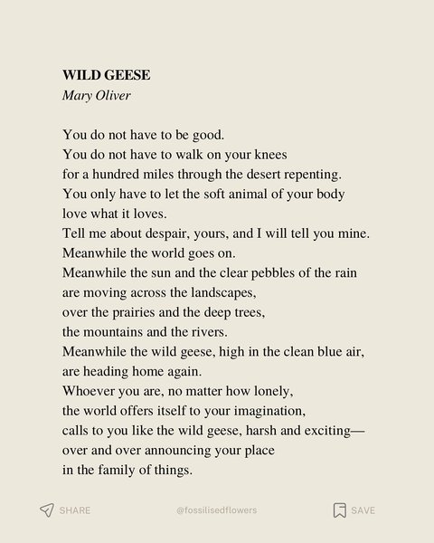 Thumbnail of p-dqhepuldzat-d14cdcf14a094a1f 15