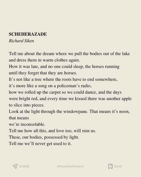 Thumbnail of p-dqhepuldzat-d14cdcf14a094a1f 17