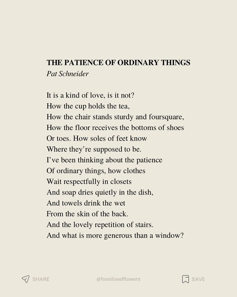 Thumbnail of p-dqhepuldzat-d14cdcf14a094a1f 3