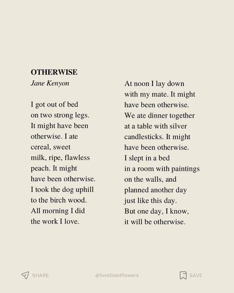 Thumbnail of p-dqhepuldzat-d14cdcf14a094a1f 6