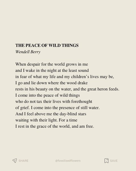 Thumbnail of p-dqhepuldzat-d14cdcf14a094a1f 9