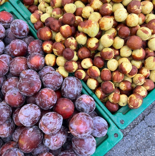 Thumbnail of p-cjqrf6vrvyd-d179f5a78c9c4139 5