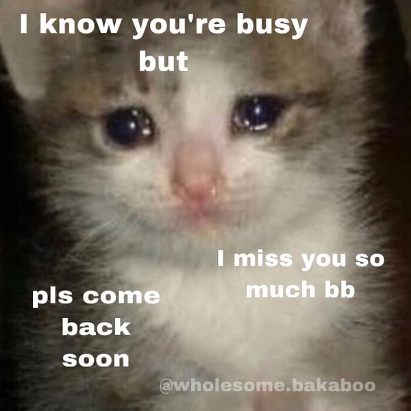 Thumbnail of p-b87j5ygl1ok-d190073df8fd40ca 0