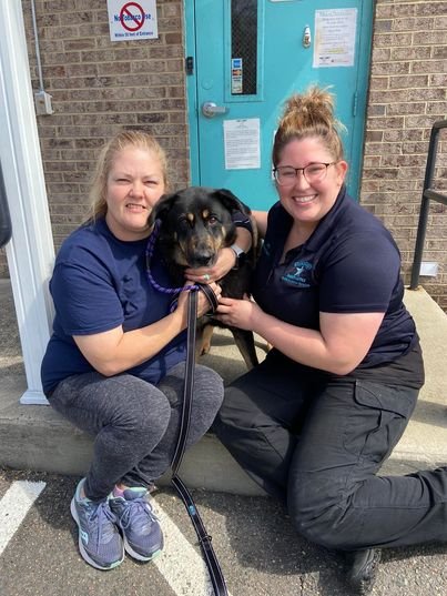 Thumbnail of www-x-com-breezyscroll-status-1506901546604236804-d1ad5e52cf764942