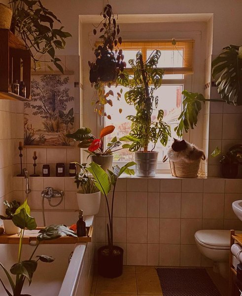 Thumbnail of p-ckztnypflkb-d1b239a37f8143e0 1