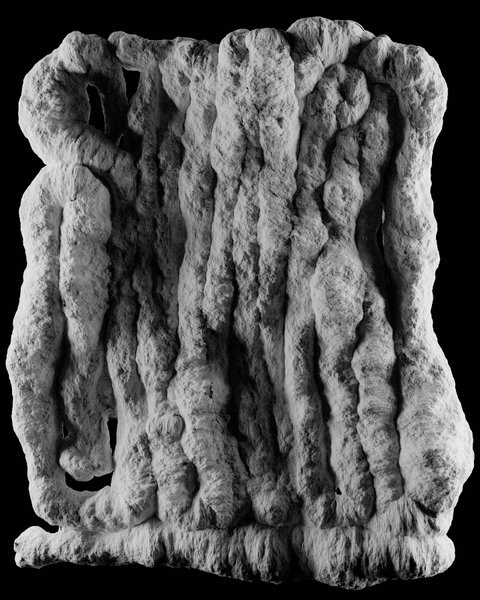 Thumbnail of b1vuym-b-d25b8a5f4e1941b3 1