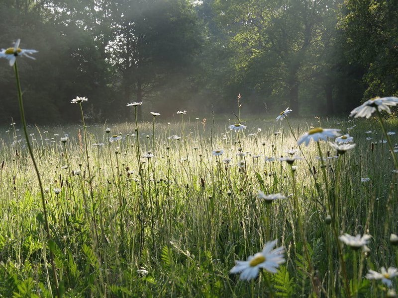 Thumbnail of kjpgrl-2e-d29cbffdfbcd4e88 0