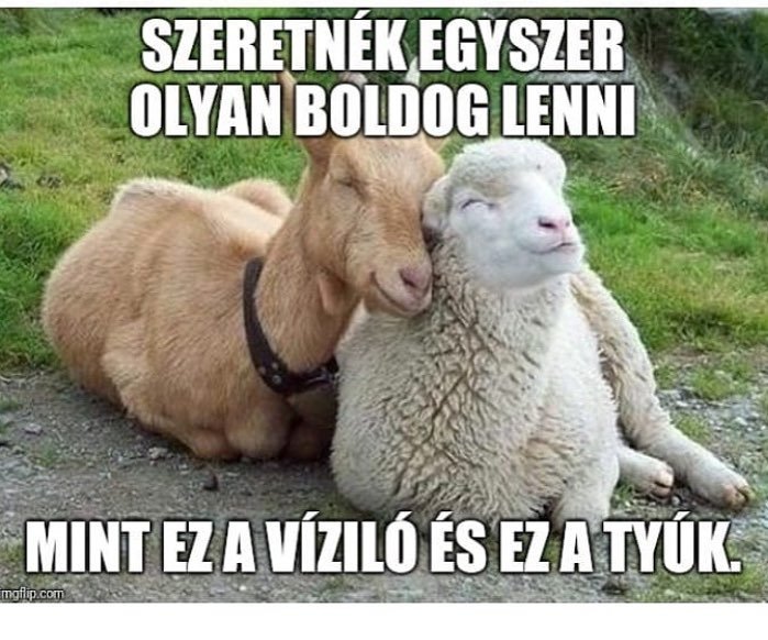 Thumbnail of p-bnrfvidnefk-d2a0f8f6da0a4f6c 0