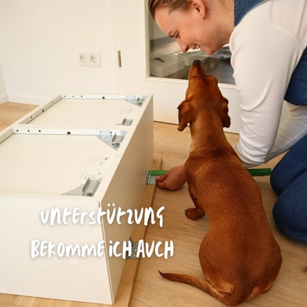 Thumbnail of p-dis6nplihaa-d2e37d7f10214c50 5