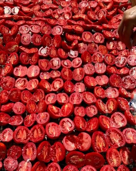 Thumbnail of p-dorfdxnim8i-d322ae0afc4549e7 2