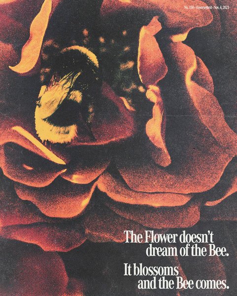 Thumbnail of p-df6j89dyxy3-d326e5361b9349a5 7