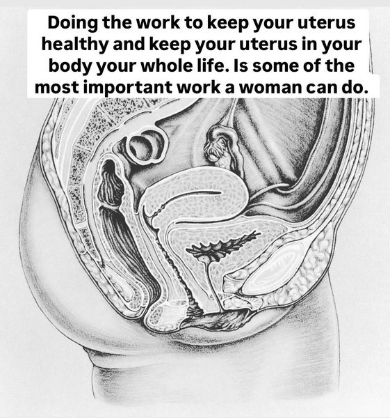 Thumbnail of p-dietlclvnnk-d376bbb485e04097 0